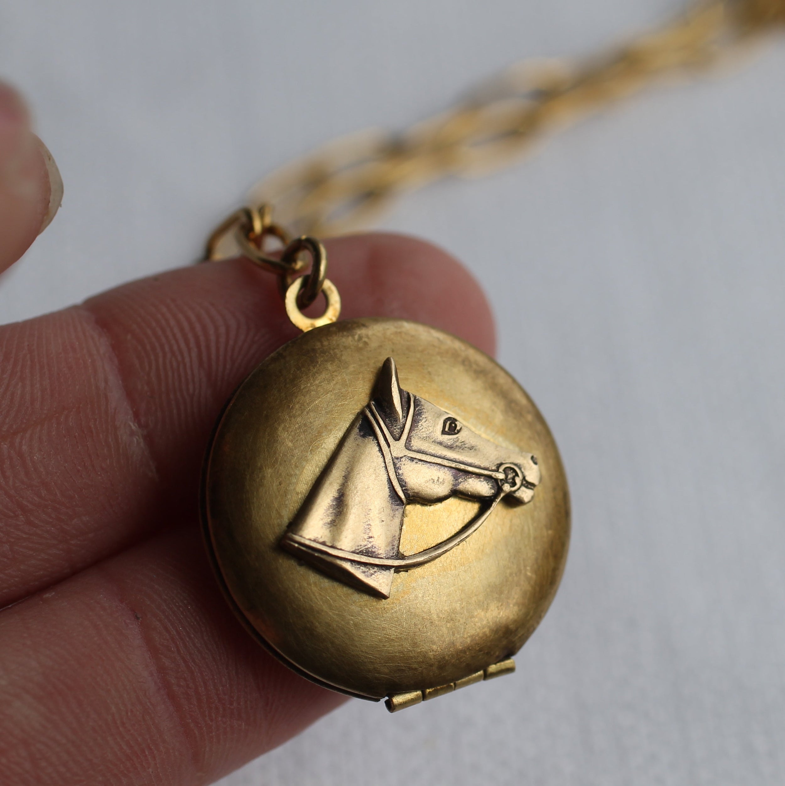 Horse Head Locket