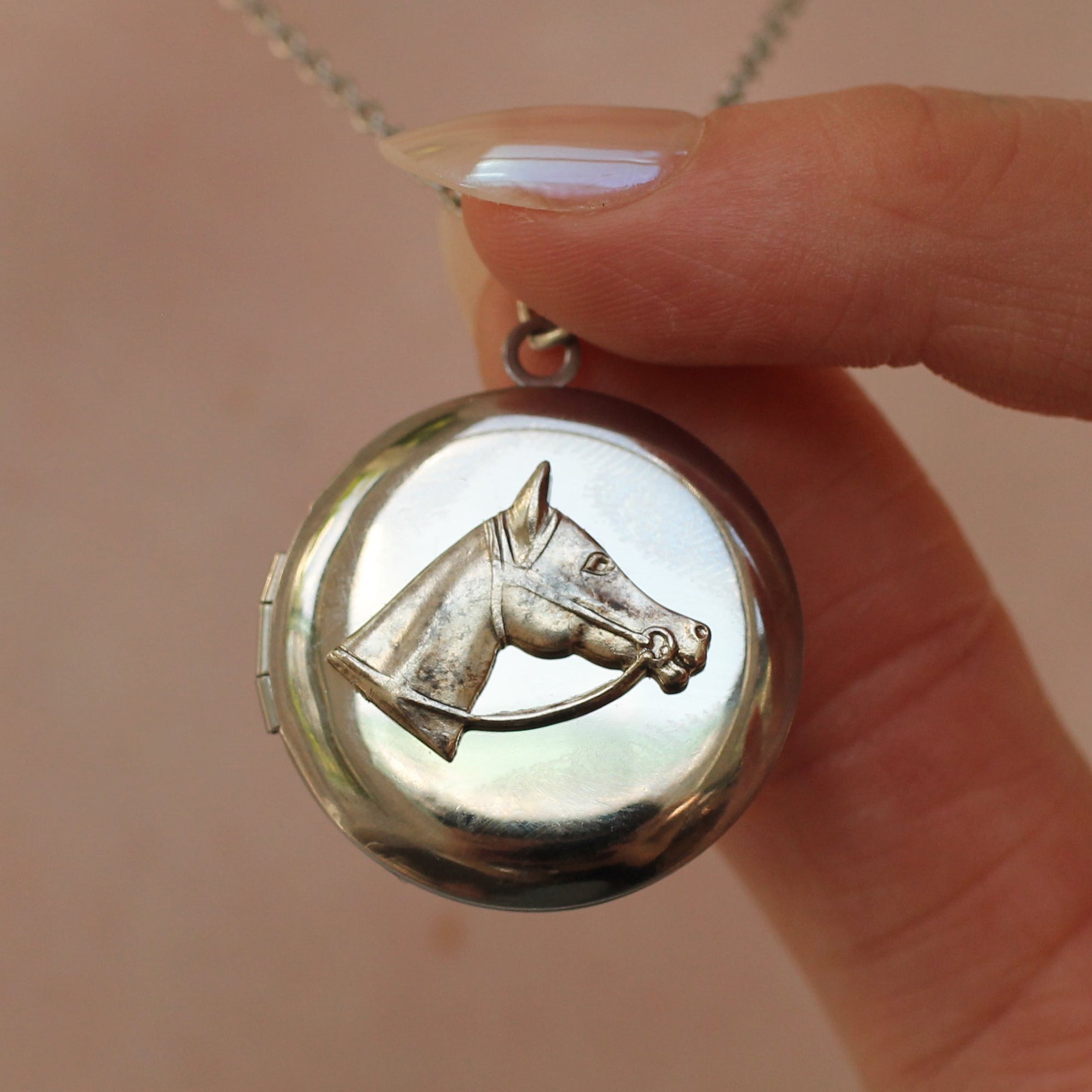 Silver Horse Head Locket