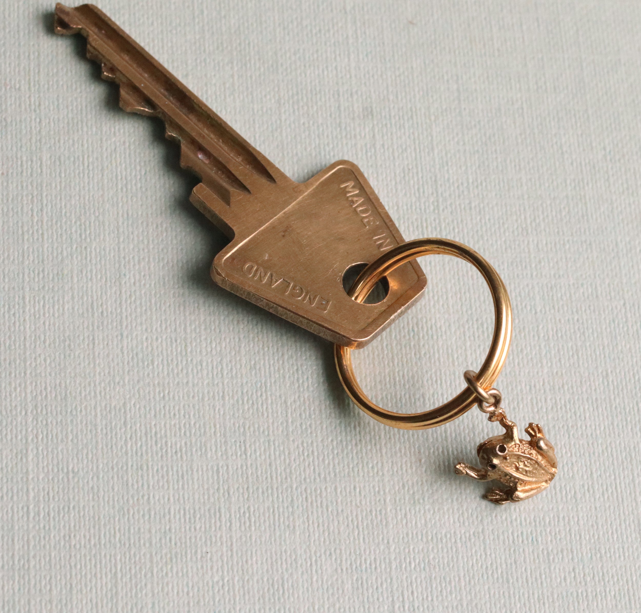 Tiny Frog Charm Keyring