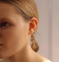 Silver Crystal Nouveau Jewel Earrings